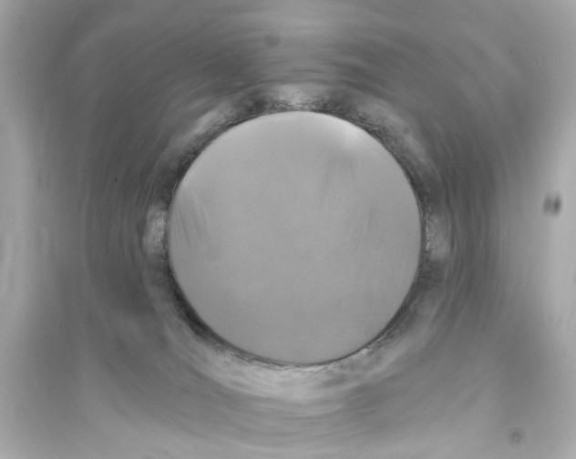 X0000093740036200711131112