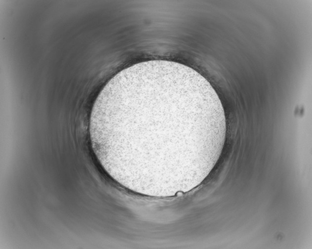 X0000093740040200711131112
