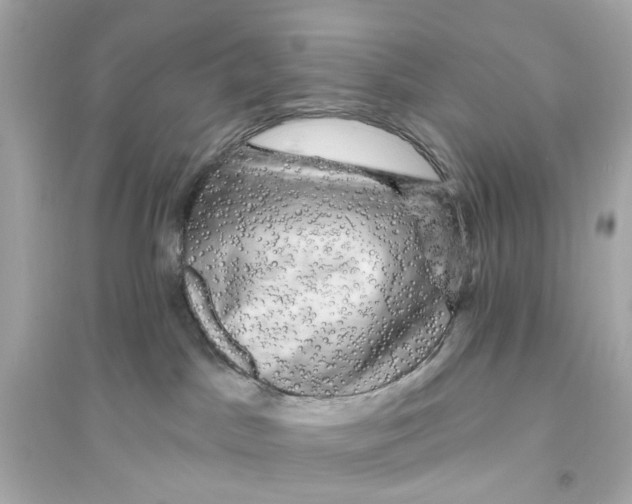 X0000093740045200711131112