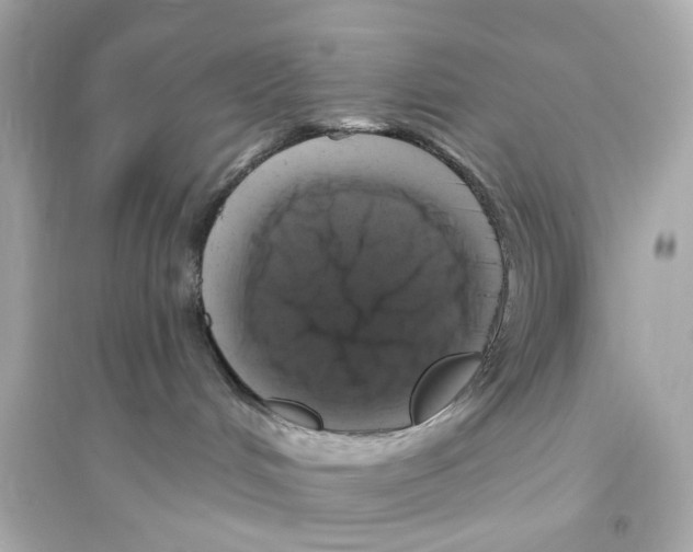 X0000093740048200711131112