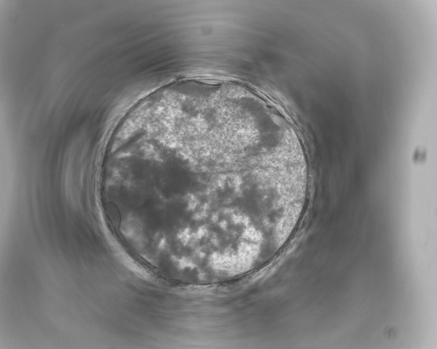 X0000093740049200711131111