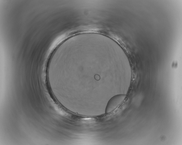 X0000093740053200711131111