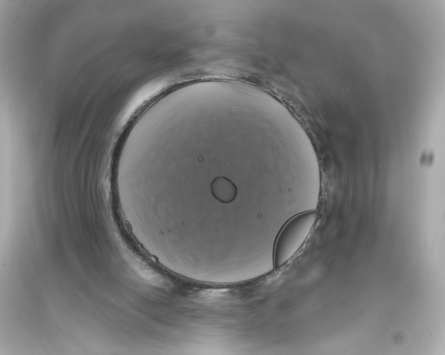 X0000093740054200711131111