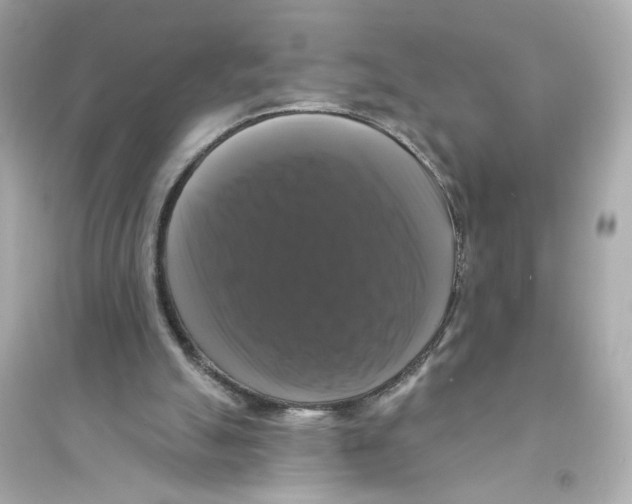 X0000093740055200711131111
