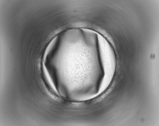 X0000093740057200711131111