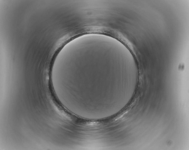 X0000093740059200711131111