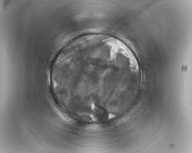 X0000093740061200711131111
