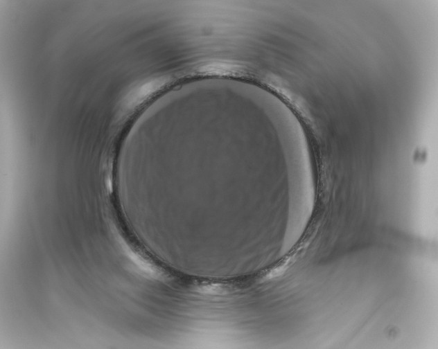 X0000093740062200711131111