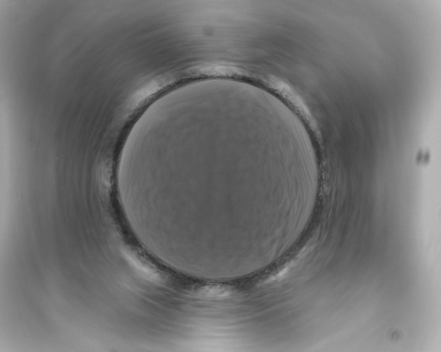 X0000093740063200711131111