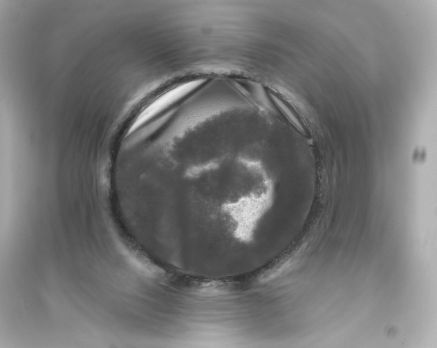 X0000093740064200711131111