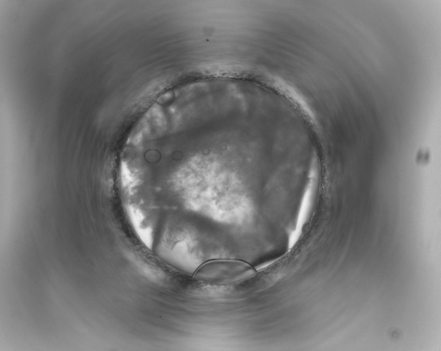 X0000093740065200711131111