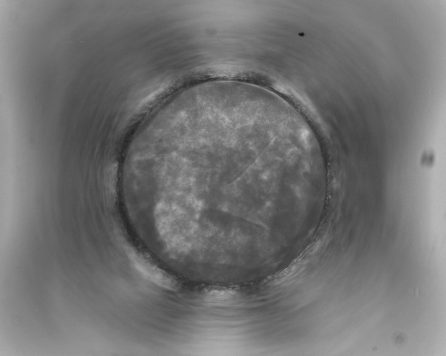 X0000093740066200711131111