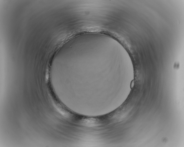 X0000093740069200711131111