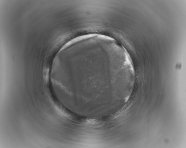 X0000093740070200711131111