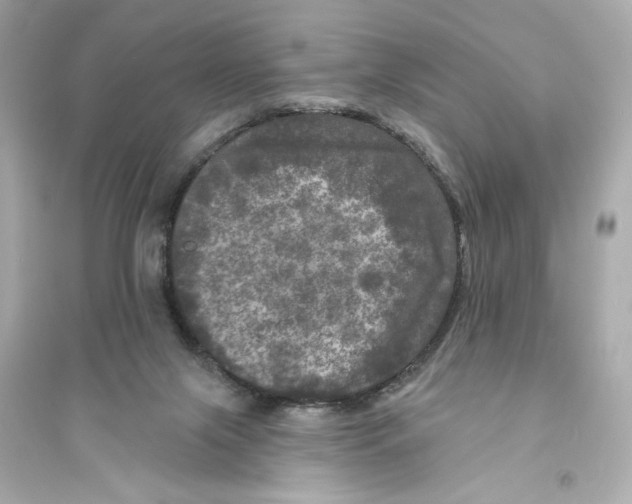 X0000093740071200711131111