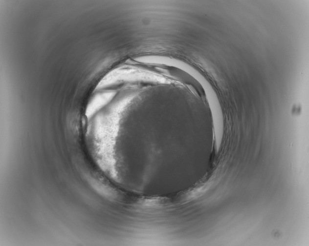 X0000093740072200711131111