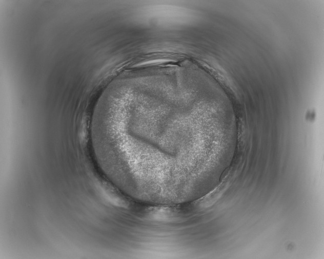 X0000093740074200711131111