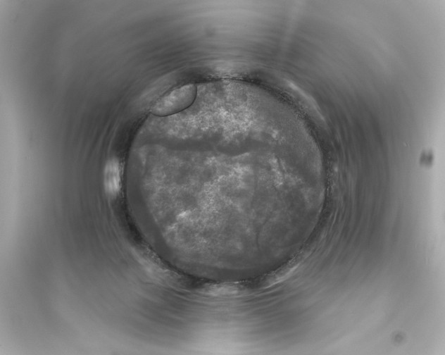X0000093740075200711131111