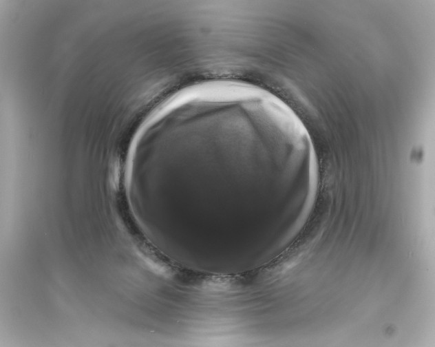 X0000093740076200711131112