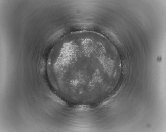 X0000093740077200711131112