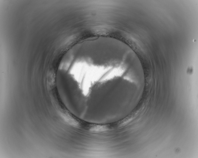 X0000093740081200711131112