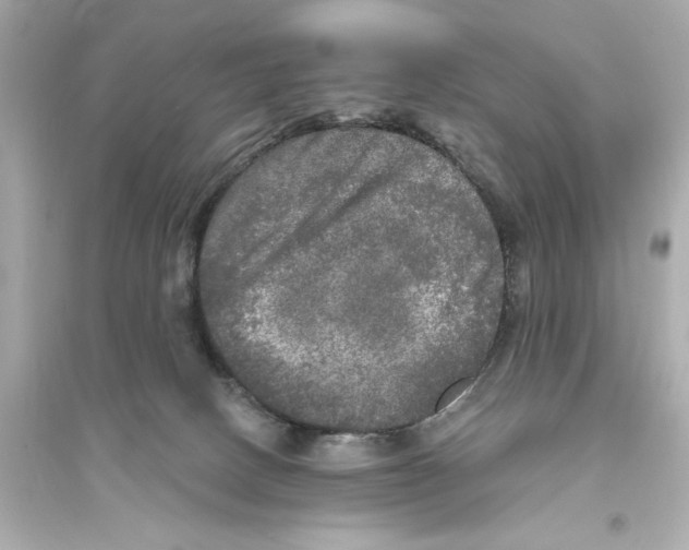 X0000093740082200711131112