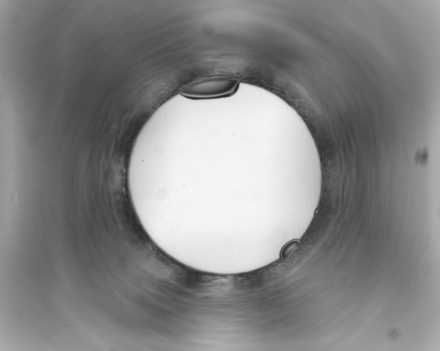 X0000093740083200711131112