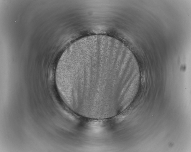 X0000093740084200711131112