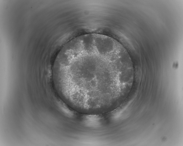 X0000093740085200711131112