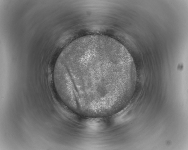 X0000093740086200711131112