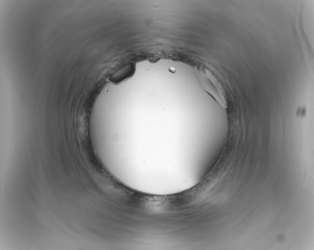 X0000093740088200711131112