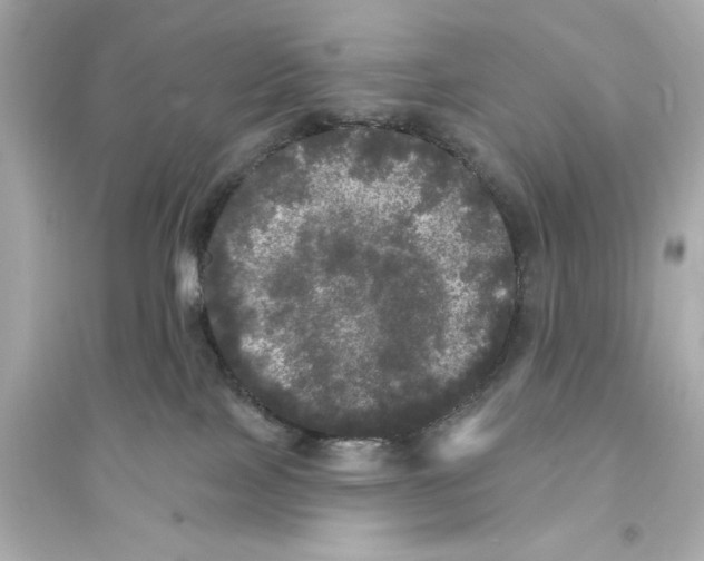 X0000093740089200711131112