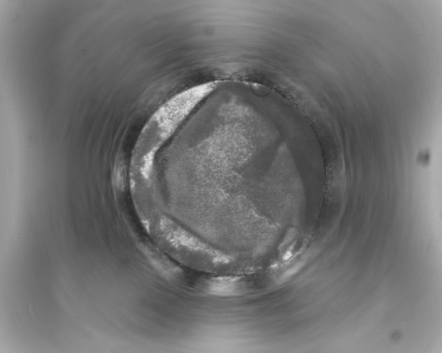 X0000093740090200711131112