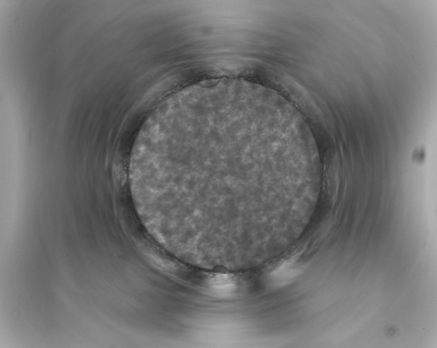 X0000093740091200711131112
