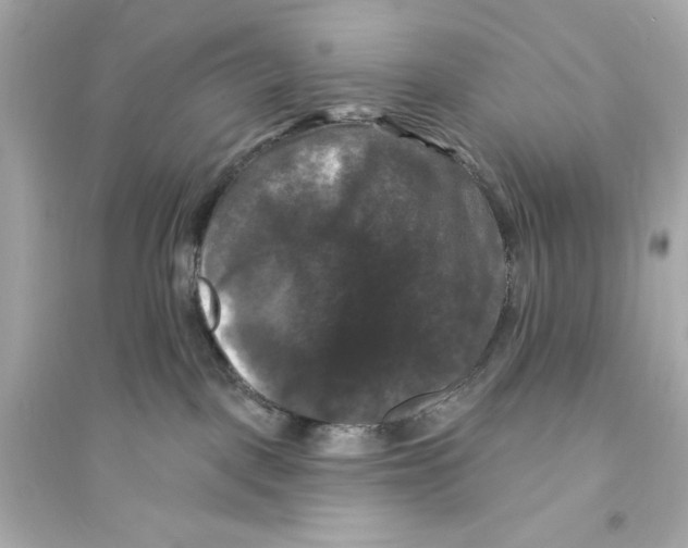 X0000093740093200711131112