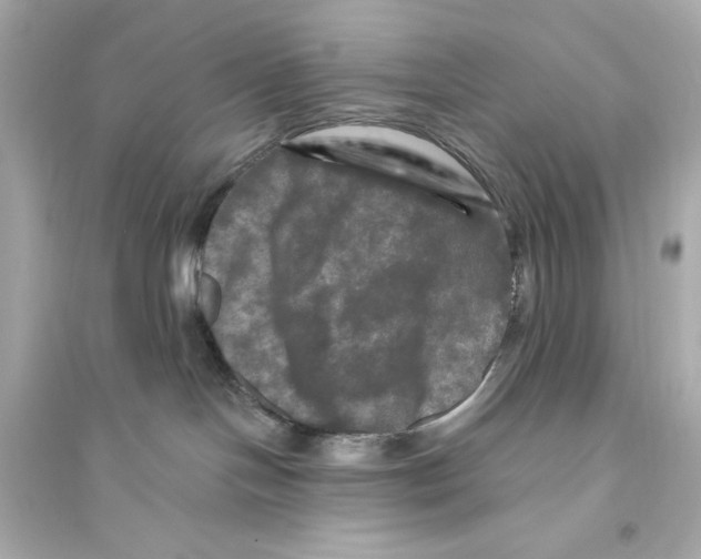 X0000093740094200711131112