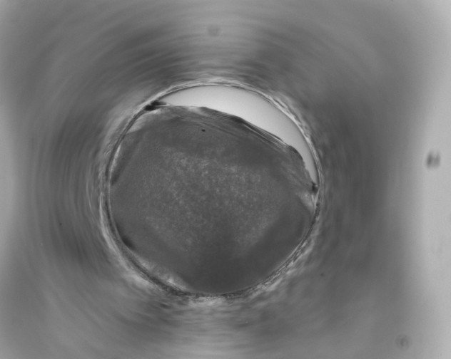X0000093740097200711131111