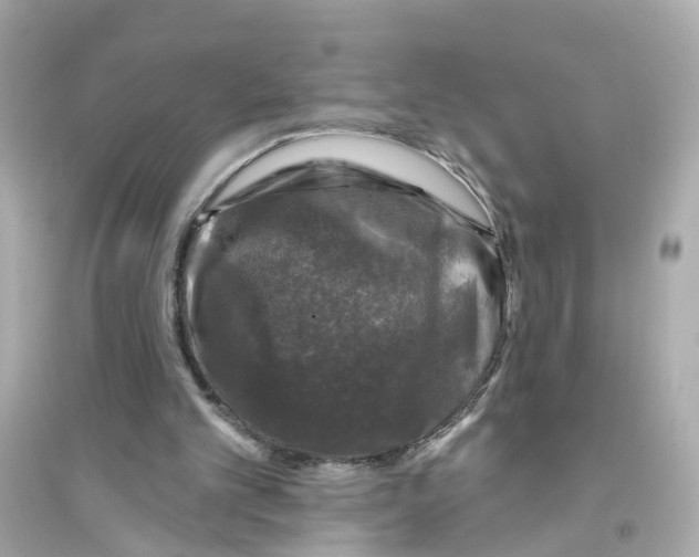 X0000093740101200711131111