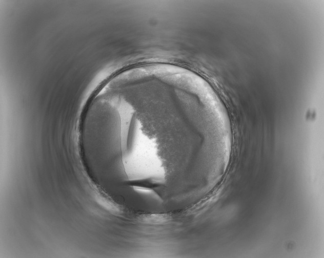 X0000093740102200711131111
