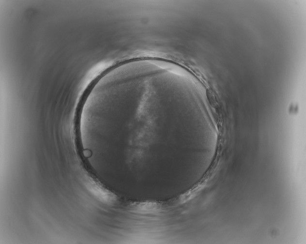 X0000093740104200711131111