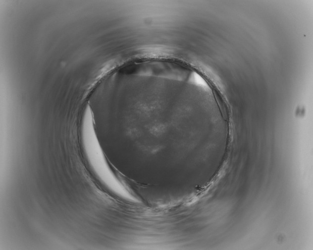 X0000093740105200711131111