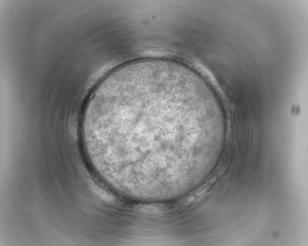 X0000093740106200711131111