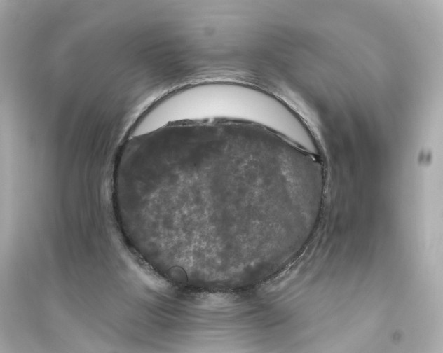 X0000093740107200711131111