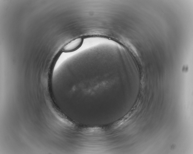 X0000093740108200711131111