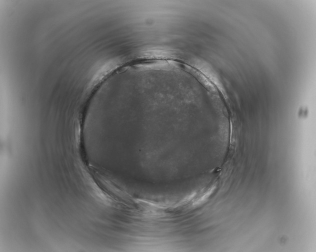 X0000093740109200711131111