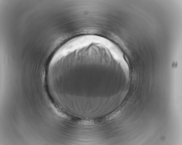 X0000093740110200711131111
