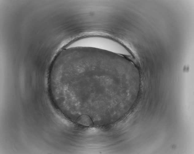 X0000093740111200711131111