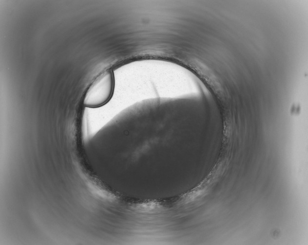 X0000093740112200711131111