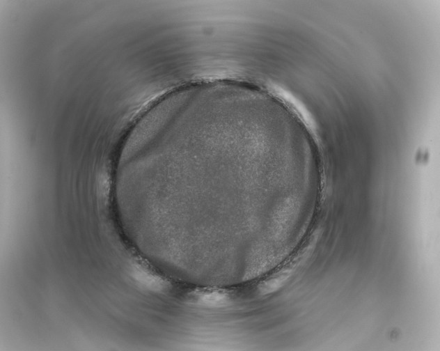 X0000093740113200711131111