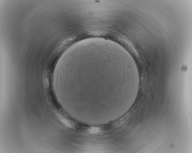 X0000093740114200711131111